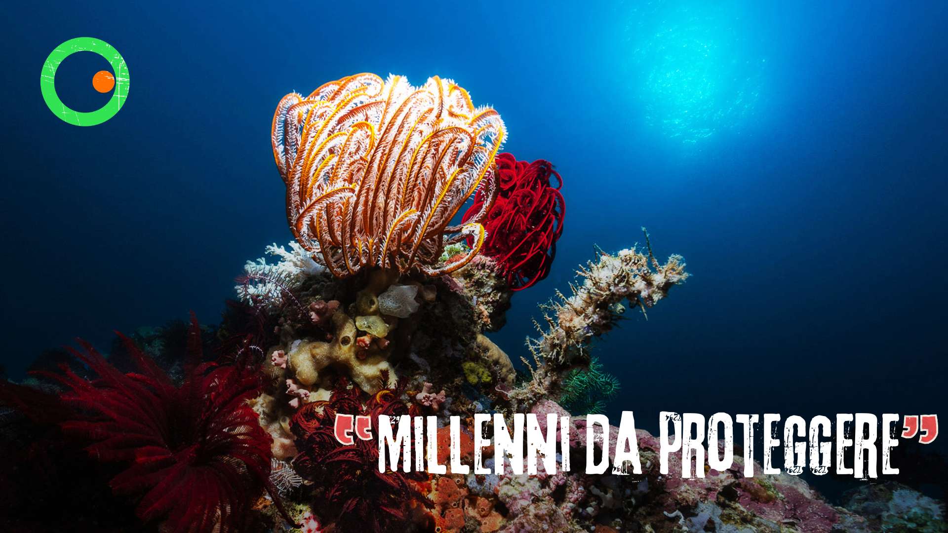Deep sea mining: perché il rischio ambientale è enorme