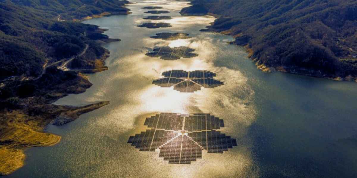 Fotovoltaici-galleggianti-a-forma-di-fiori-Talkoo-news